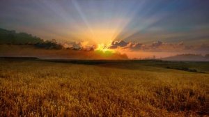 ОЧЕНЬ КРАСИВОЕ ЧТЕНИЕ СУРЫ ЮНУС | СУРА ДЛЯ УСПОКОЕНИЯ СЕРДЦА | Мишари ибн Рашид аль-Афаси