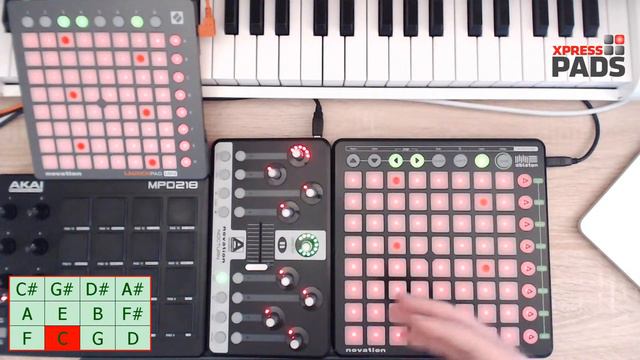 Special Chords - sus2 & sus4 #MTN032 смотреть онлайн