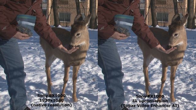 Topaz Video Enhance A.I. v2.4 - Side by Side HD vs 4k comparison смотреть онлайн