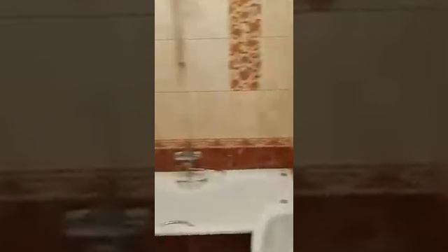 Аренда 1 ком кв Долгопрудный смотреть онлайн