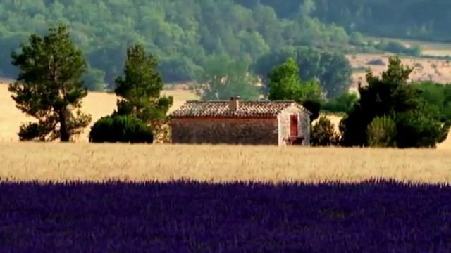 Видео к показу коллекции "Provence" от Iryna Sazanovich смотреть онлайн