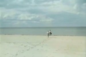 Долгая дорога в дюнах