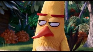 Курсы управления гневом | Angry Birds в кино (2016)