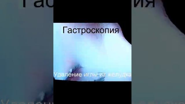 Ветеринарная клиника Провет-Капуцин