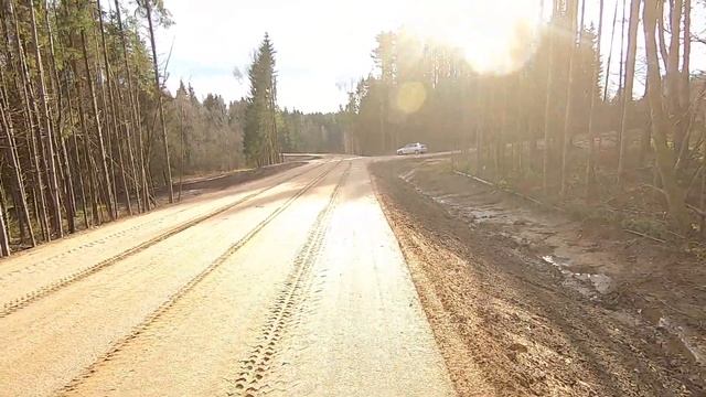 Лес 39 Крево Восток-2. 5 ноября 2021 года. День