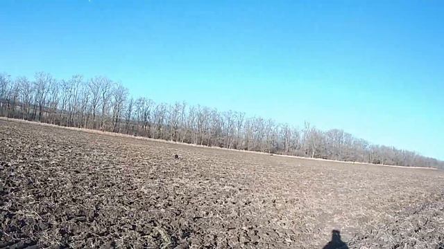 проверка боя бойка Ата Армс нео 12 после доработки и охота на зайца смотреть онлайн