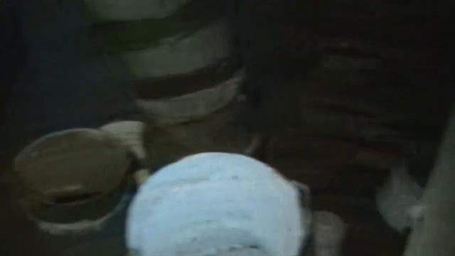 В тайгу Деревенский двор Обзор На лыжах за снегоходом Разбор переправ смотреть онлайн