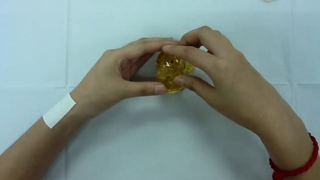 Golden Retriever.MOV смотреть онлайн