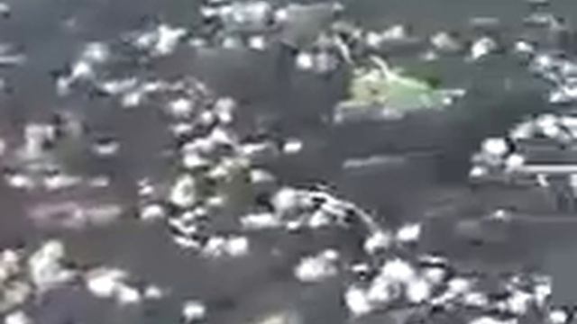 на картошку по татарски