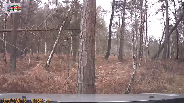Застрял между соснами смотреть онлайн