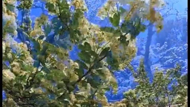 Акафист Слава Богу за все.mp4 смотреть онлайн