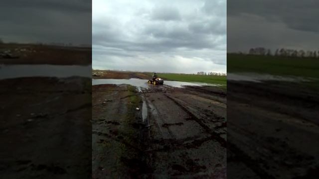 Dingo T125 + смотреть онлайн