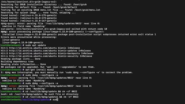 Ubuntu Troubleshooting - Error : dpkg status database is locked by another process смотреть онлайн