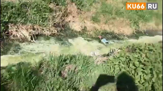 Канализация из домов уходит прямо в реку смотреть онлайн