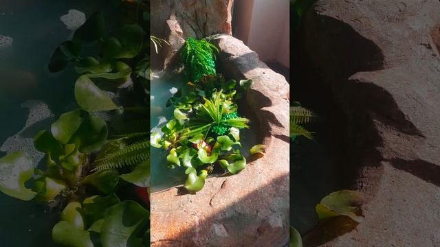 искусственный водопад, скала в интерьере смотреть онлайн