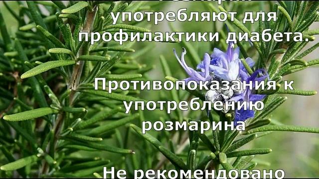 Улучшаем память и восстанавливаем зрение смотреть онлайн
