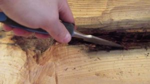 Реставрация сруба или как заменить гнилое, испорченное место на бревне, брусе