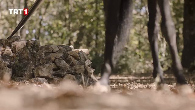 How Did Alparslan And Akça Meet  | Alparslan: The Great Seljuk Episode 3