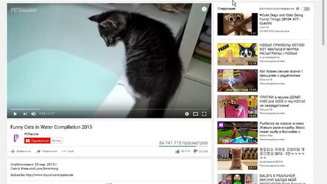 КАК СКАЧАТЬ ВИДЕО С ЮТУБА БЫСТРО И БЕСПЛАТНО смотреть онлайн