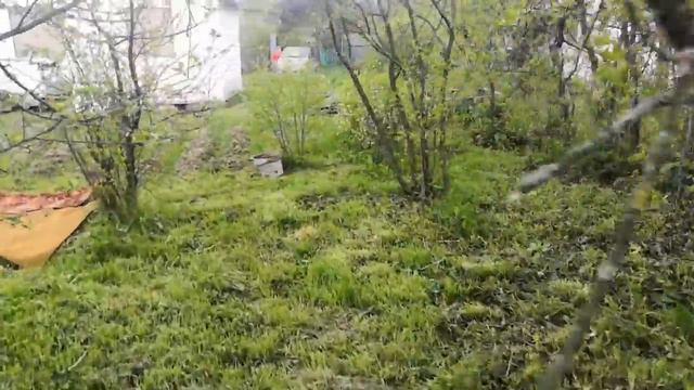 СДАМ Дачу в СНТ Лучи смотреть онлайн