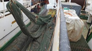 СРТМ Мыс Орлова, Выборка донного трала, Берингово Море, Рыбалка 2020