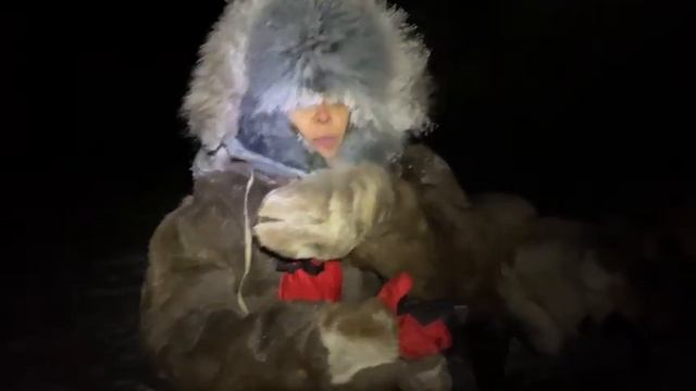 "Как пройти 10 км в -50 и остаться живой?" Наталия Белякова об экипировке. Покорители холода. смотреть онлайн