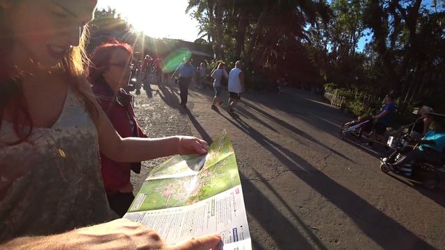 Диснейленд ч1 Орландо, США | Animal Disney World part1 Orlando, USA смотреть онлайн