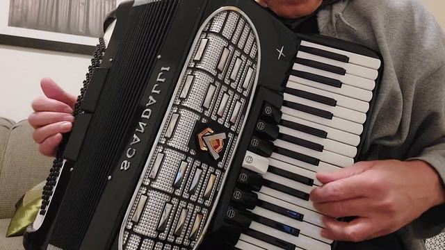 Blue Danube Waltz - Accordion Practice смотреть онлайн