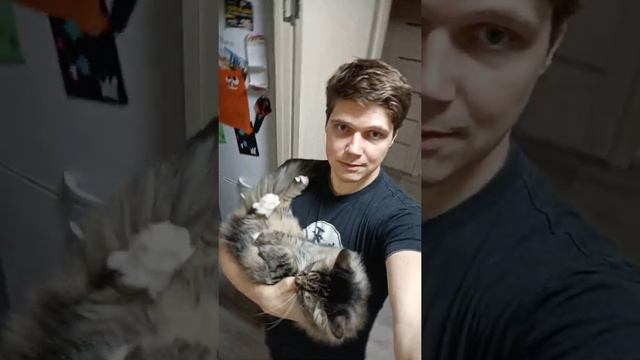 размер кота имеет значение! смотреть онлайн