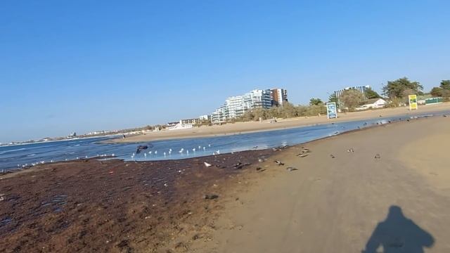 Анапа. Таня в шоке - после родительского собрания в школе. смотреть онлайн