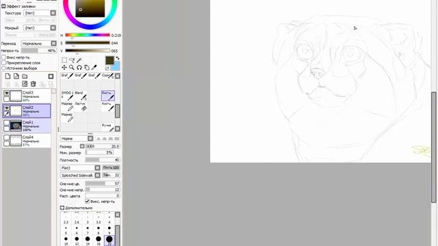 Speedpaint: Манул, рисунок в Sai смотреть онлайн