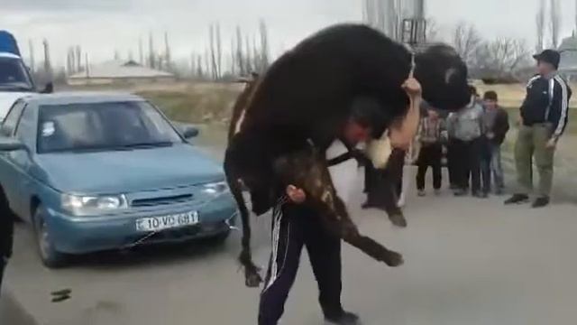 ТАХТАБАШ Э ТАХТАБАШ -3 смотреть онлайн