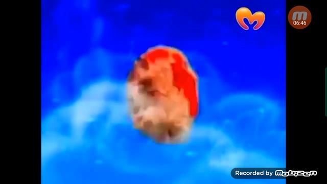 Спокойной ночи малыши задом фото смотреть онлайн