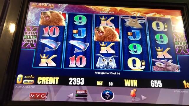 ALASKAN STORM BONUSES!