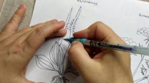 перенос рисунка