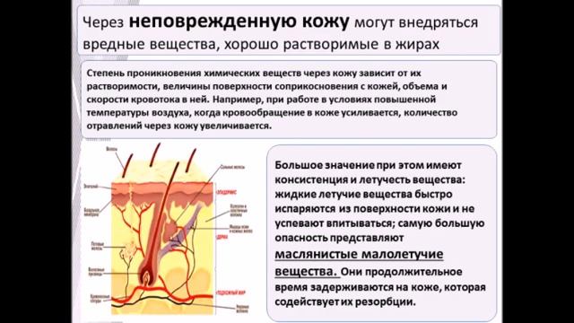 13:50 Безопасность жизнедеятельности смотреть онлайн