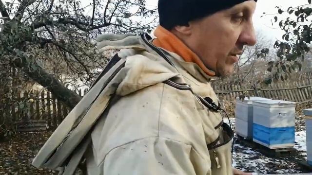 Зимовка на двух корпусах смотреть онлайн