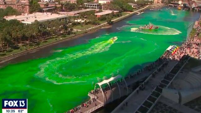 TAMPA RIVERWALK: Best Things To Do Living In Tampa FL | Moving To Tampa Florida | Tampa Real Estate