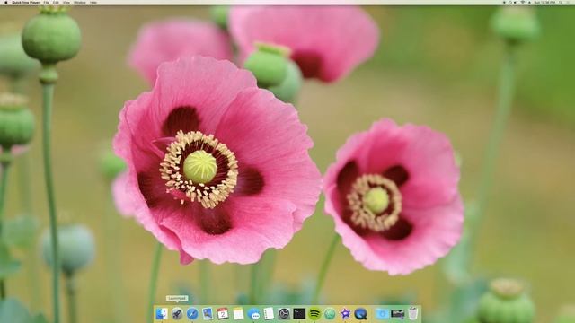 How to set up a Mac to code in Java смотреть онлайн