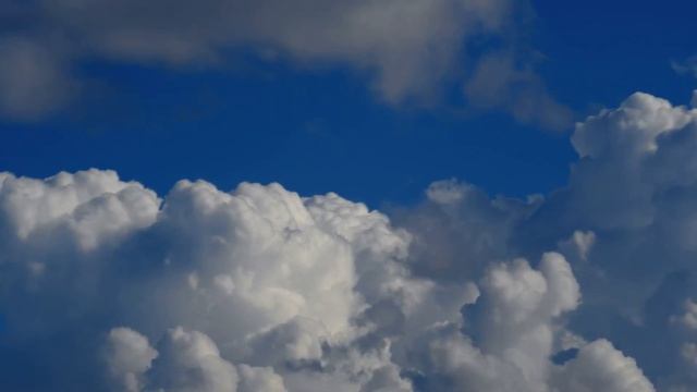 ПОЧЕМУ РАСТЕНИЯ ЗЕЛЁНЫЕ? ЧТО ТАКОЕ ФОТОСИНТЕЗ И ПОЧЕМУ НЕБО ГОЛУБОЕ? смотреть онлайн