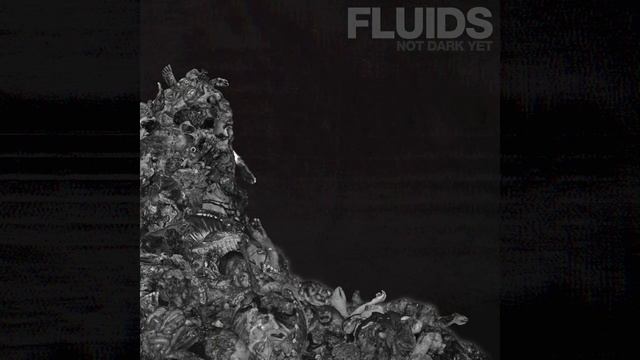 FLUIDS "Life Spent" смотреть онлайн