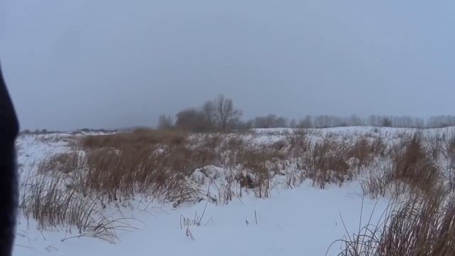 Охота на зайцев - «Карусель» смотреть онлайн