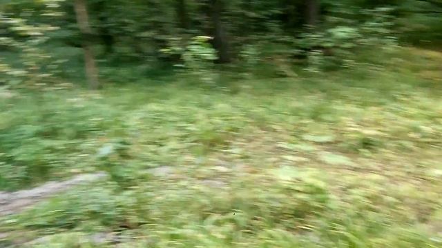 Забытые танковые дороги под тулой смотреть онлайн