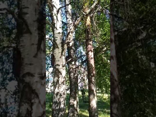 24 июня 2022 г. смотреть онлайн