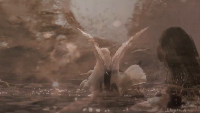 ПОЕТ НАДЕЖДА СЕМИНА "СЛОВА...." смотреть онлайн