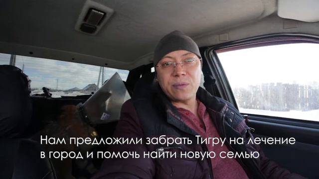 Тигра, продолжение... Ищем семью смотреть онлайн