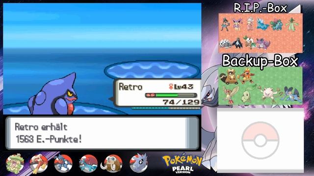 POKEMON PERL RANDOMIZER NUZLOCKE CHALLENGE [Part 62] | NINTENDO DS | Die SIEGESSTRAßE erreicht! смотреть онлайн