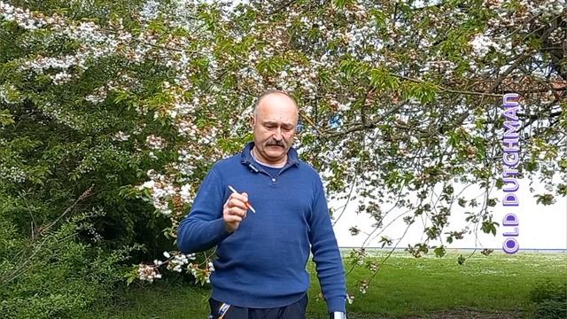 ответы на часто задаваемые вопросы обо мне и о том, что я делаю и рекомендую другим людям.