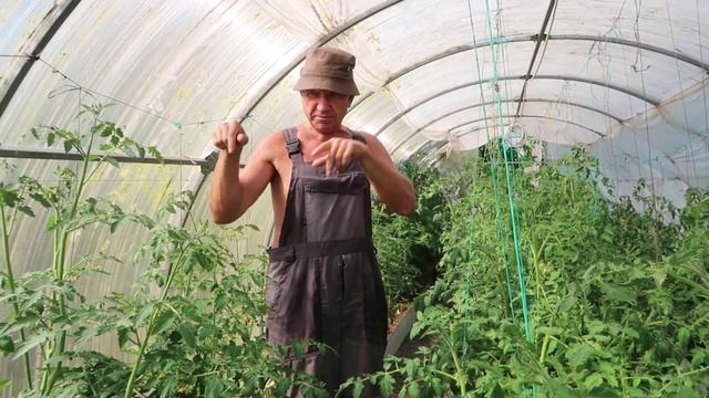 Создай Сам Себя