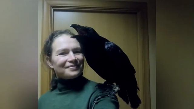 Спрятались от мороза смотреть онлайн